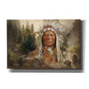 'Sitting Bull' by Steve Hunziker, Canvas Wall Art
