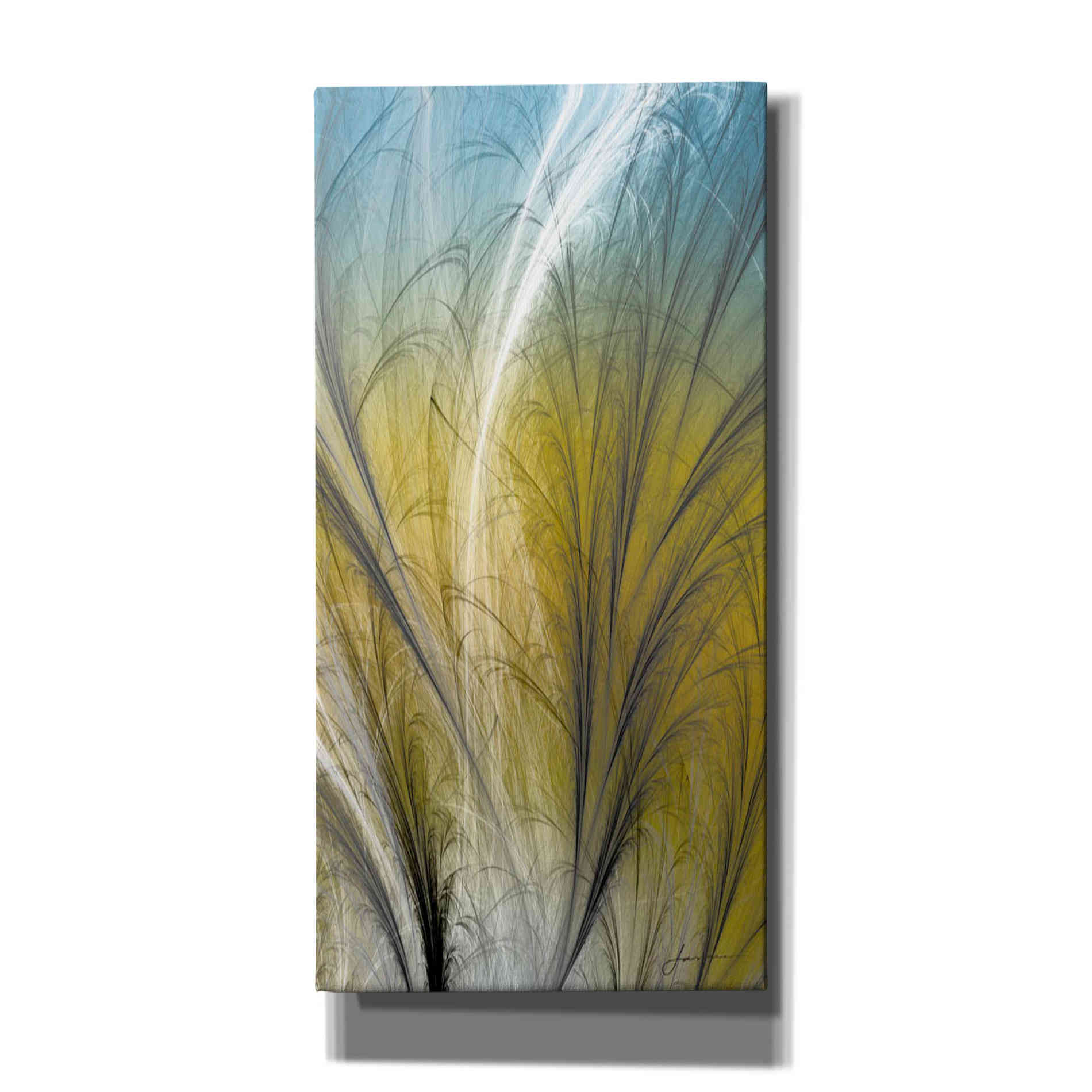 'Fountain Grass III' by James Burghardt Giclee Canvas Wall Art