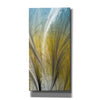 'Fountain Grass III' by James Burghardt Giclee Canvas Wall Art