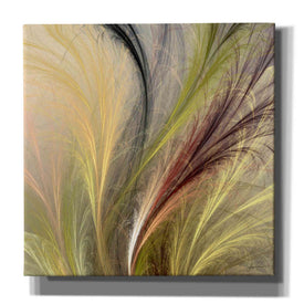 'Fountain Grass I' by James Burghardt Giclee Canvas Wall Art