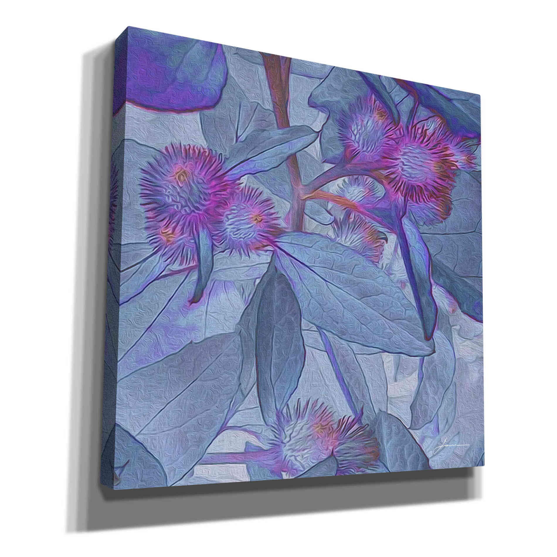 'Prickley Tiles IV' by James Burghardt Giclee Canvas Wall Art
