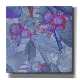 'Prickley Tiles IV' by James Burghardt Giclee Canvas Wall Art
