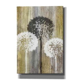 'Rustic Garden II' by James Burghardt Giclee Canvas Wall Art