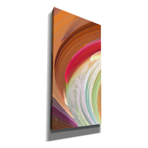 'Wind Waves II' by James Burghardt Giclee Canvas Wall Art