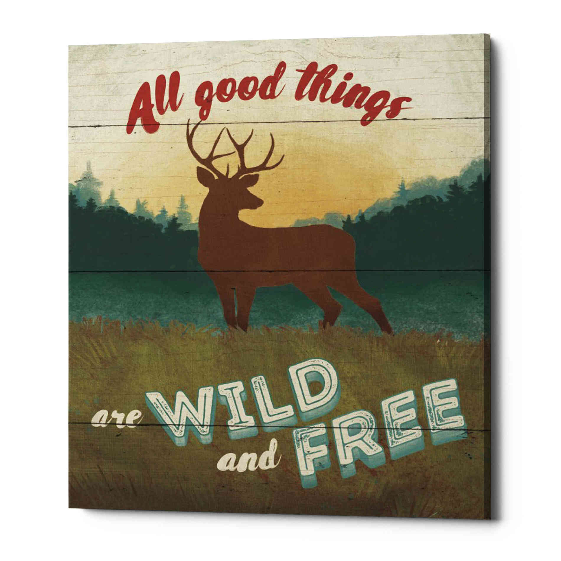 'Discover the Wild II' by Janelle Penner, Canvas Wall Art