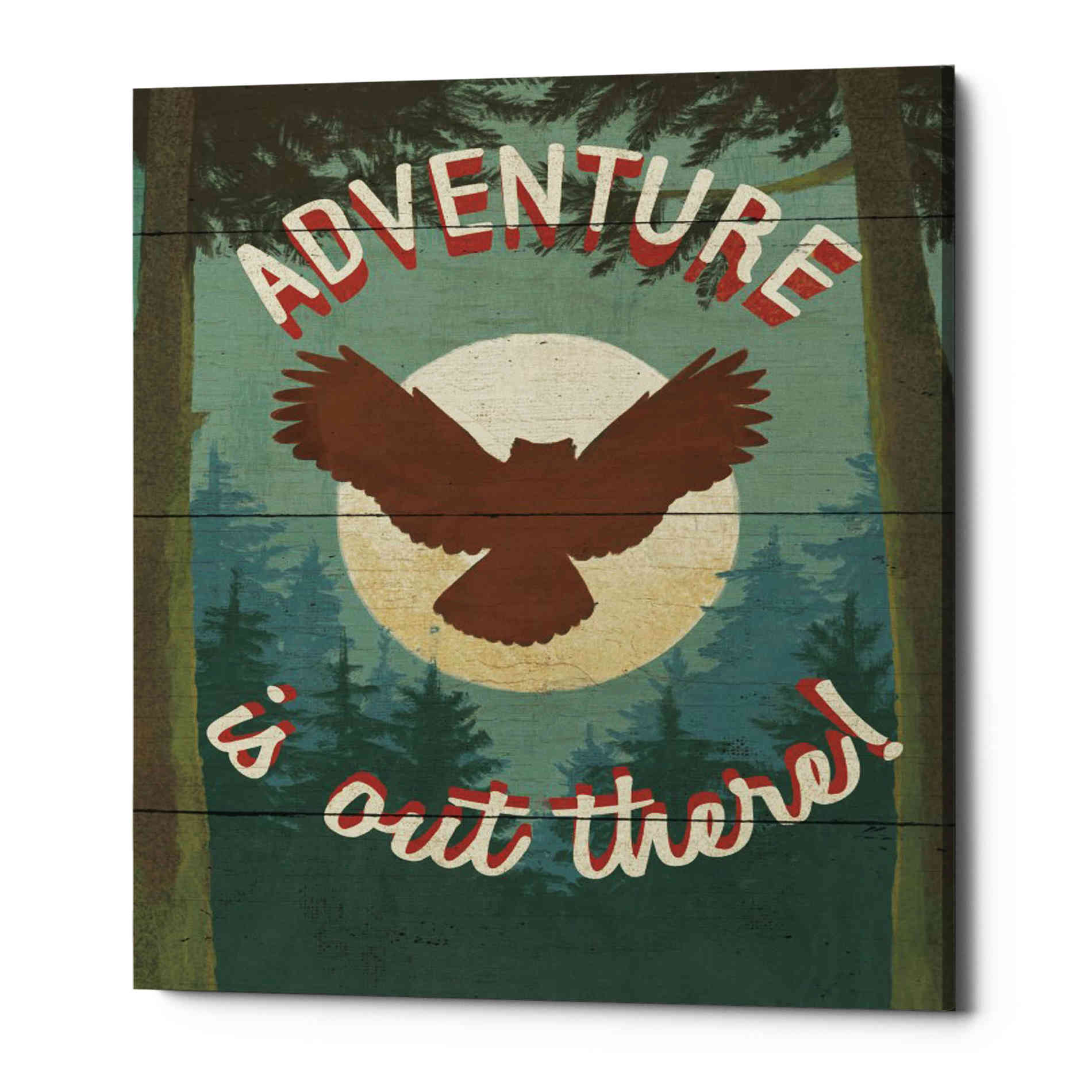 'Discover the Wild IV' by Janelle Penner, Canvas Wall Art