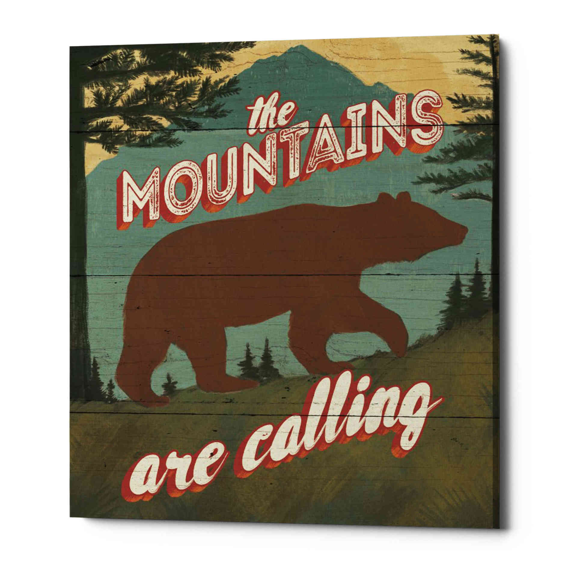 'Discover the Wild I' by Janelle Penner, Canvas Wall Art