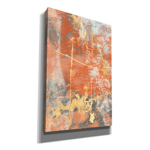 'Terre Cotta Lace I' by Jennifer Goldberger Giclee Canvas Wall Art