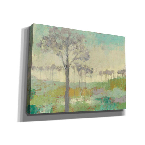 Image of 'Tree Stand II' by Jennifer Goldberger Giclee Canvas Wall Art