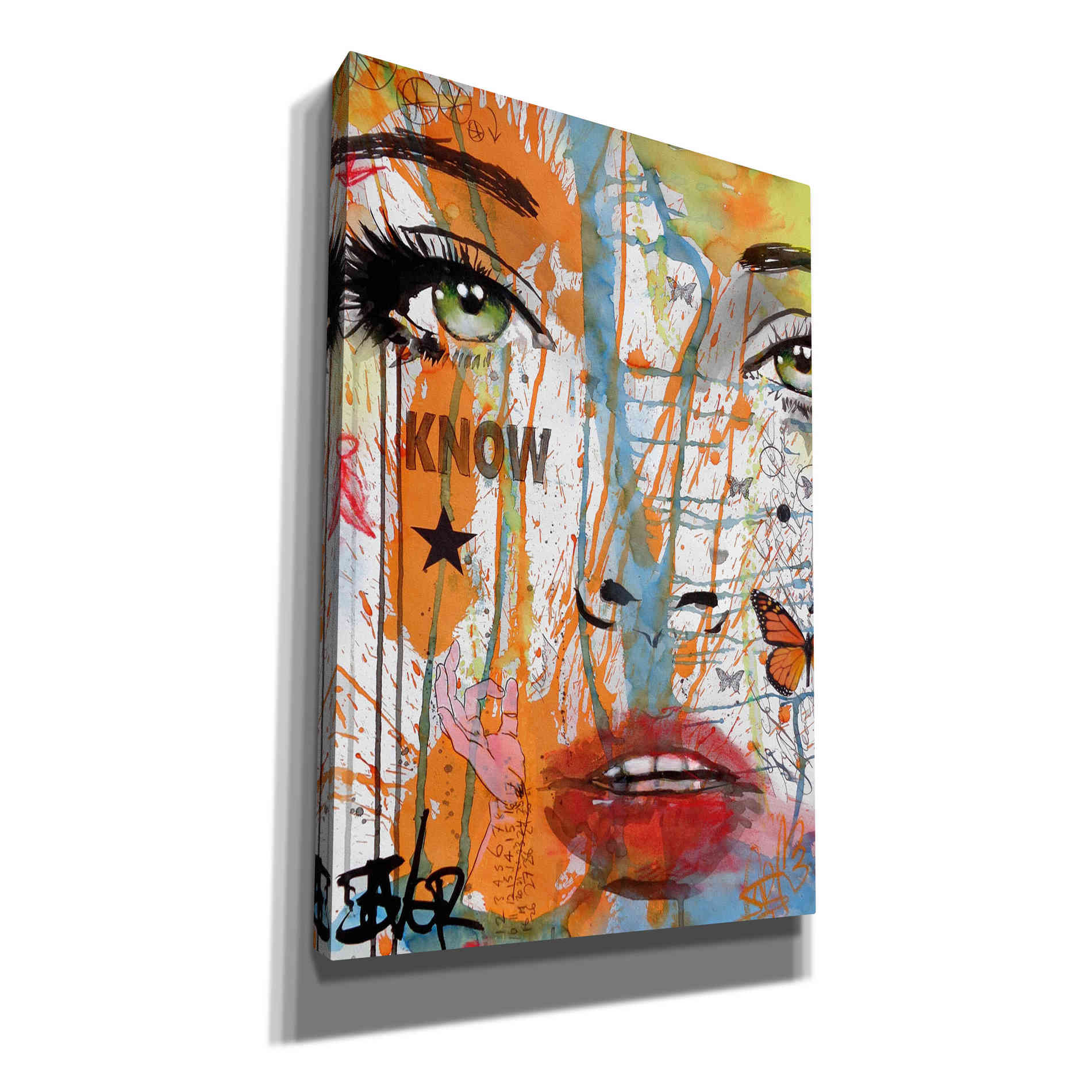 'Know' by Loui Jover, Canvas Wall Art