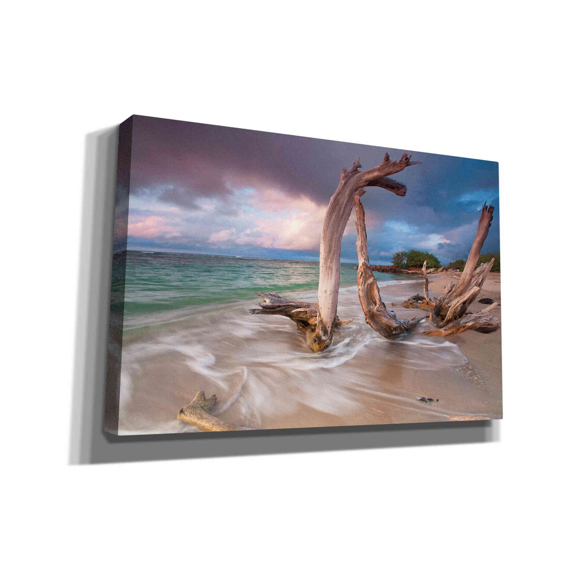 'Driftwood Sunset' by Katherine Gendreau, Giclee Canvas Wall Art