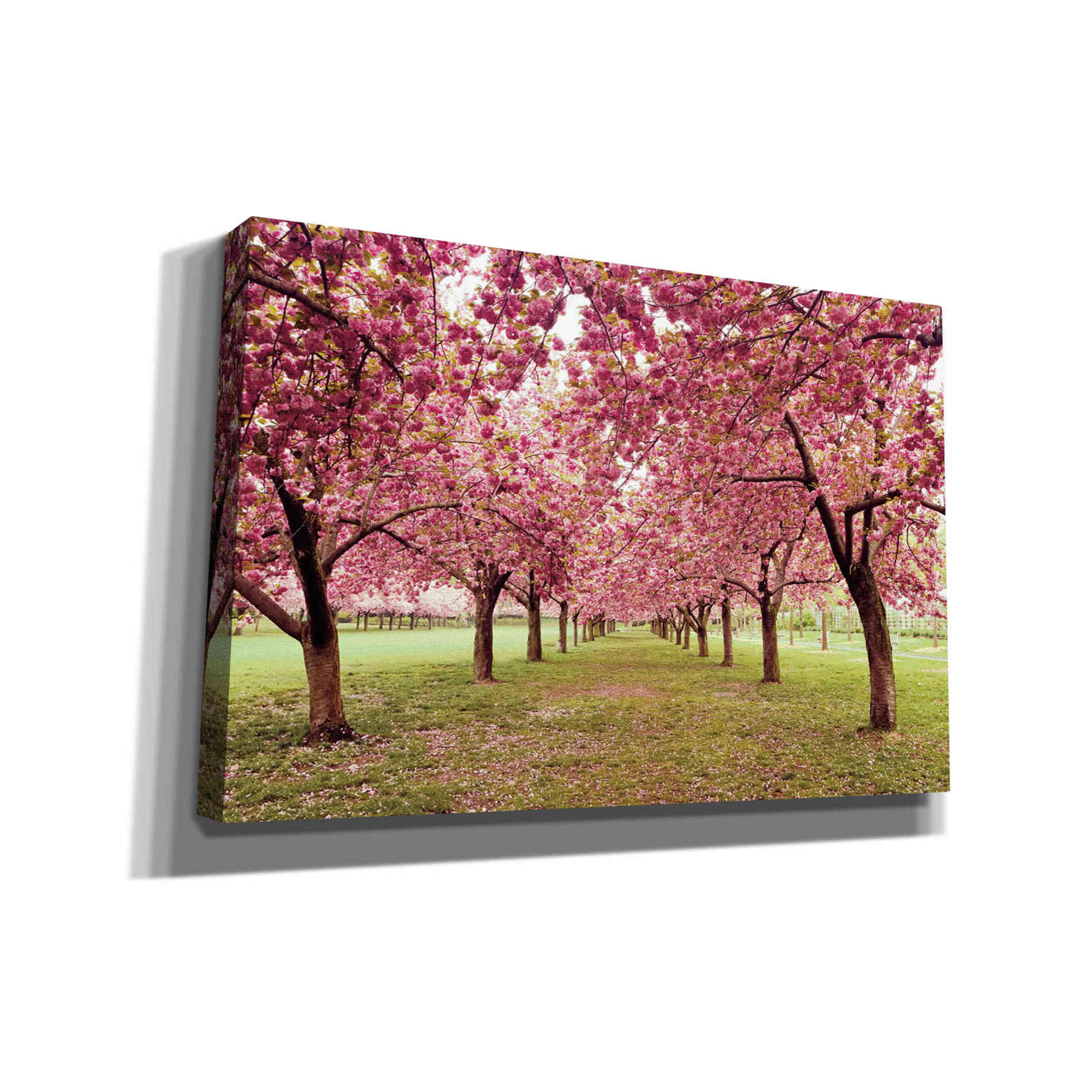 'Hall of Cherries' by Katherine Gendreau, Giclee Canvas Wall Art