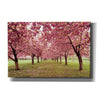 'Hall of Cherries' by Katherine Gendreau, Giclee Canvas Wall Art