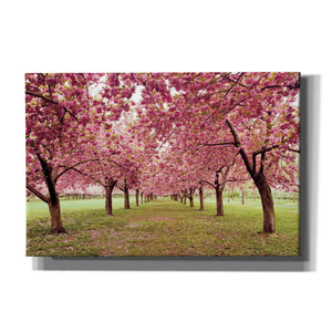 'Hall of Cherries' by Katherine Gendreau, Giclee Canvas Wall Art
