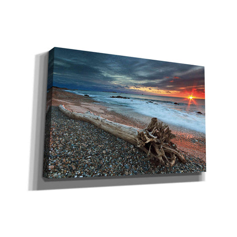 Image of 'Sakonnet Driftwood' by Katherine Gendreau, Giclee Canvas Wall Art