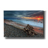 'Sakonnet Driftwood' by Katherine Gendreau, Giclee Canvas Wall Art