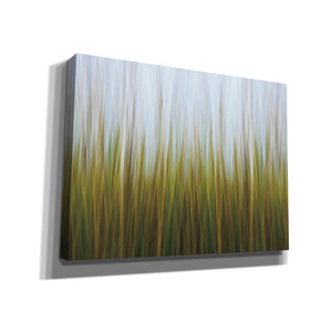 'Sea Grass Canvas' by Katherine Gendreau, Giclee Canvas Wall Art