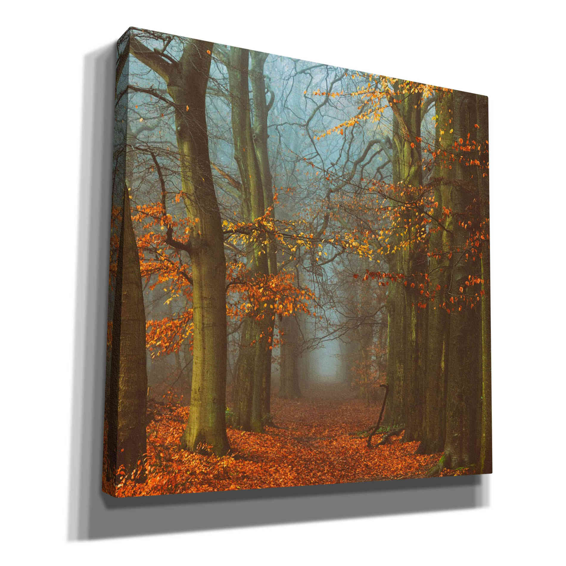 'Path of The Mystics' by Lars van de Goor, Giclee Canvas Wall Art