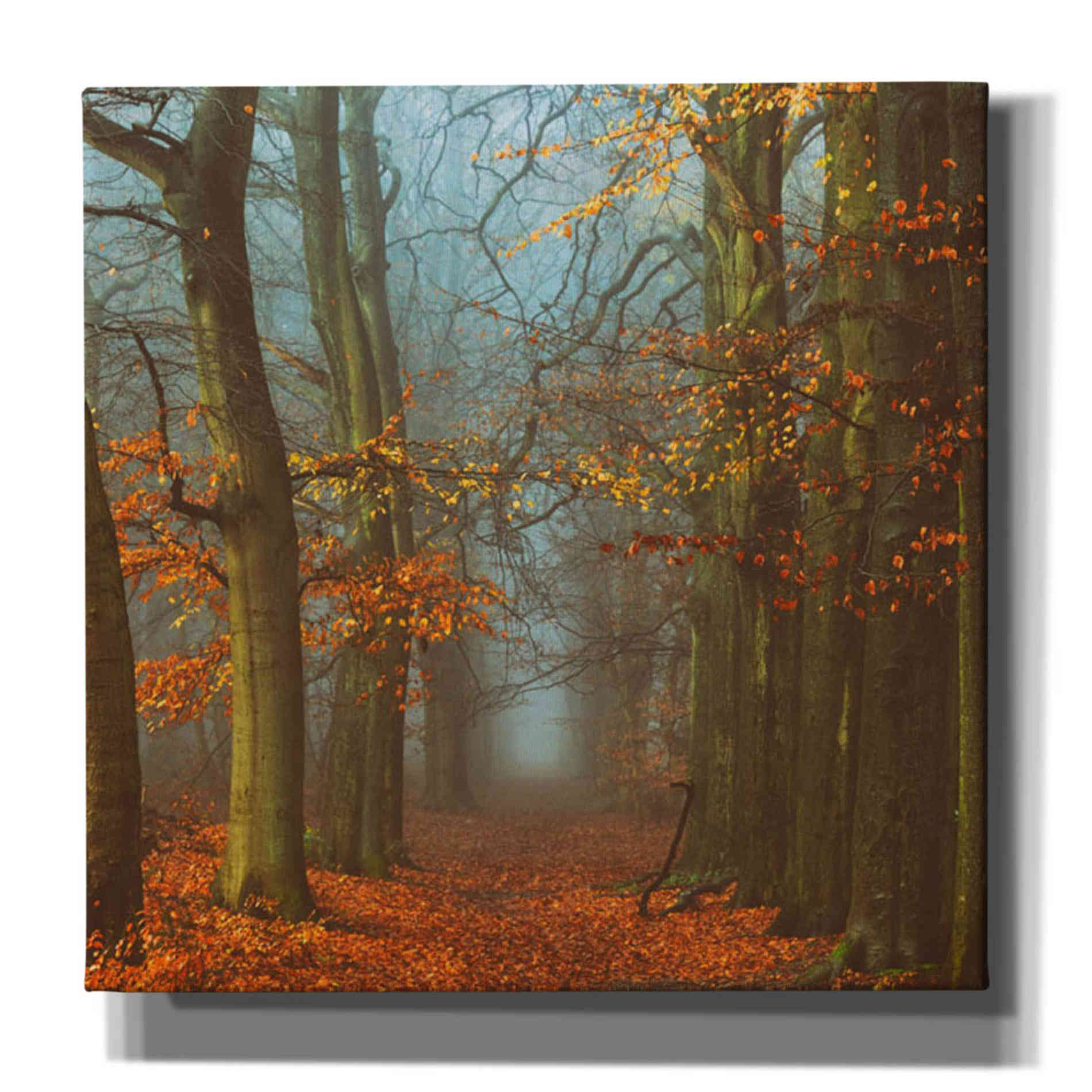 'Path of The Mystics' by Lars van de Goor, Giclee Canvas Wall Art