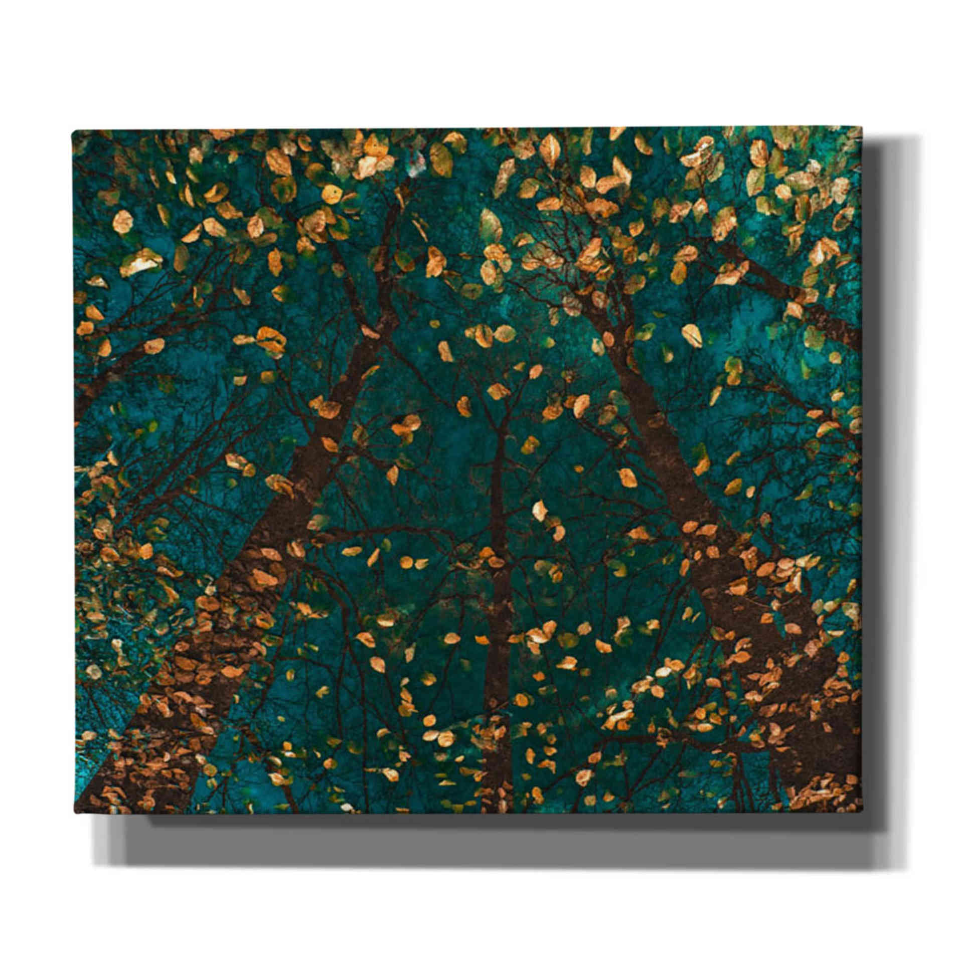 'Plato's Trees' by Lars van de Goor, Giclee Canvas Wall Art