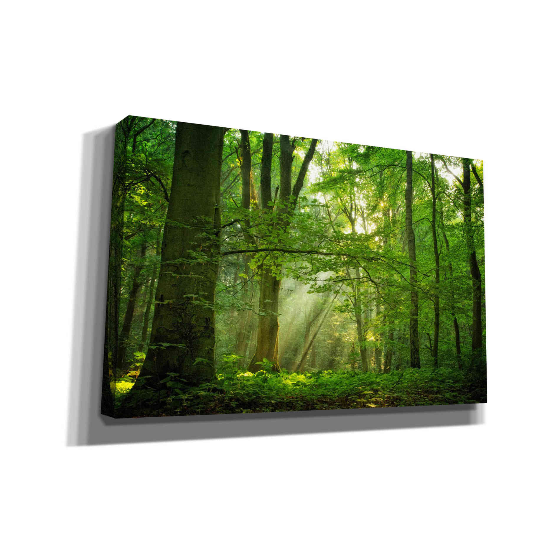 'Breathe' by Lars van de Goor, Giclee Canvas Wall Art
