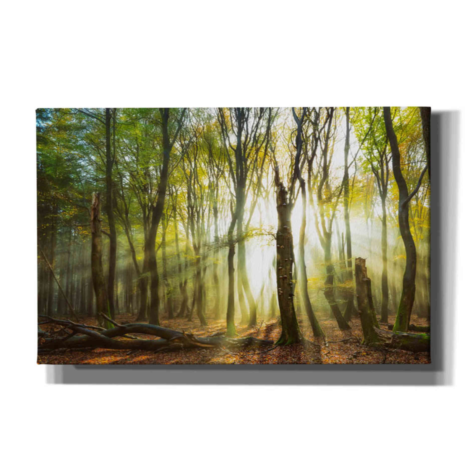 'Still Standing' by Lars van de Goor, Giclee Canvas Wall Art