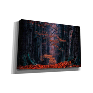 'Synapse' by Lars van de Goor, Giclee Canvas Wall Art