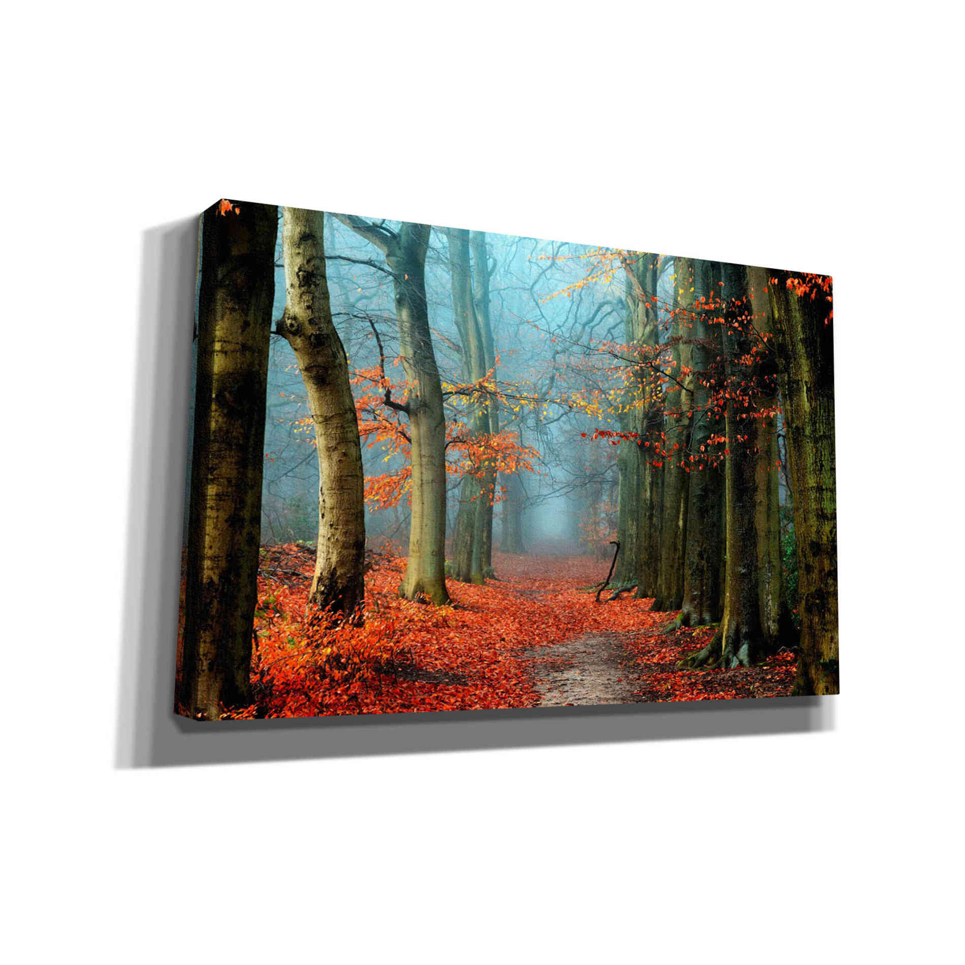 'Bussum in Fall' by Lars van de Goor, Giclee Canvas Wall Art