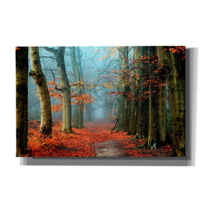 'Bussum in Fall' by Lars van de Goor, Giclee Canvas Wall Art