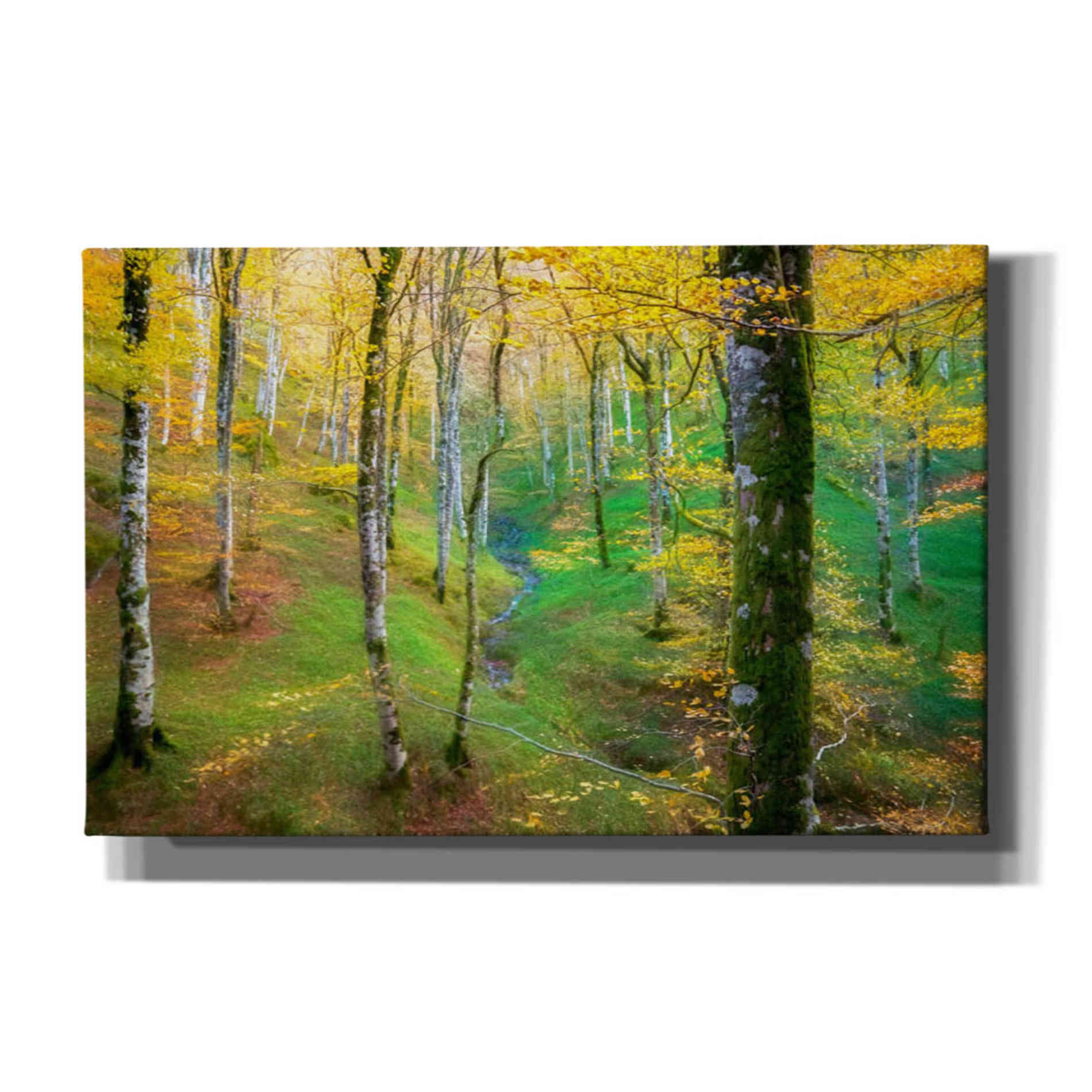 'Dream of Birches' by Lars van de Goor, Giclee Canvas Wall Art