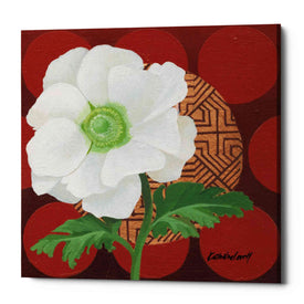 'Morning Anemone' by Kathrine Lovell, Canvas Wall Art