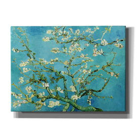 'Almond Blossoms' by Vincent Van Gogh, Canvas Wall Art