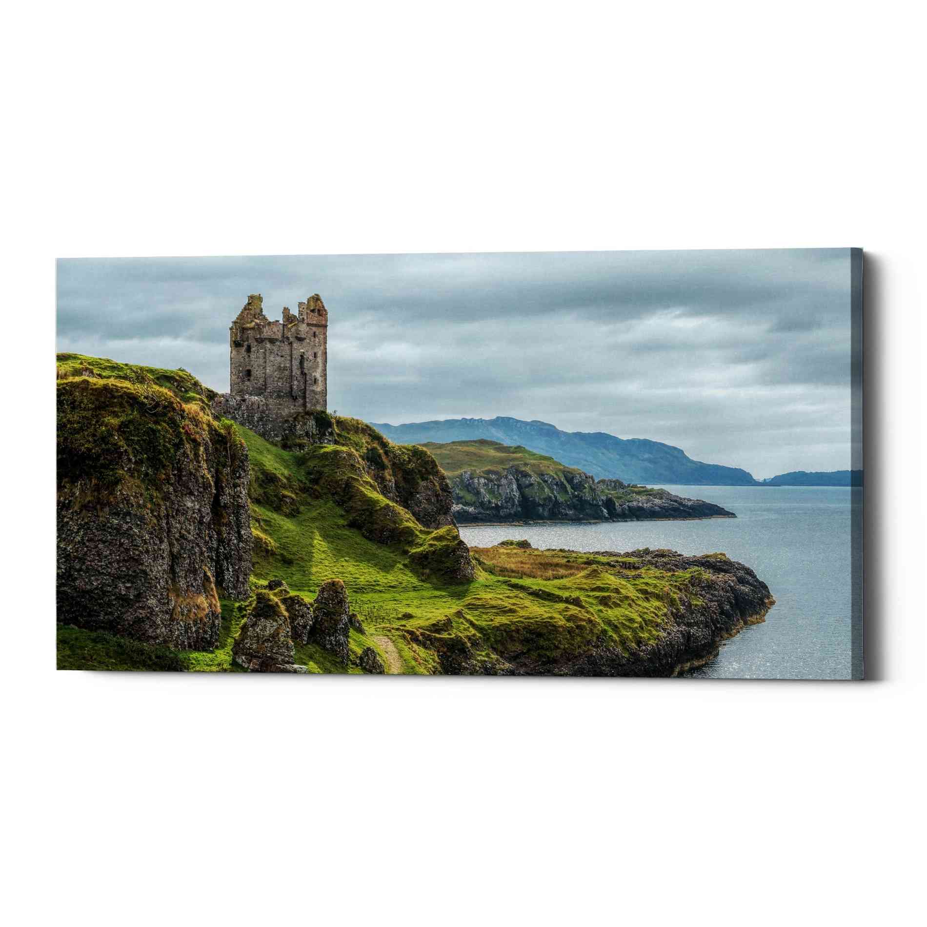 'Lone,' Canvas Wall Art