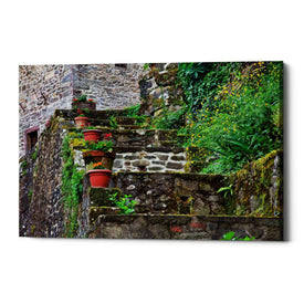 'Stone Steps,' Canvas Wall Art