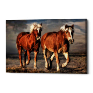 'Trotting,' Canvas Wall Art