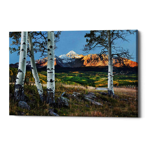 Image of 'Wilson Peak,' Canvas Wall Art