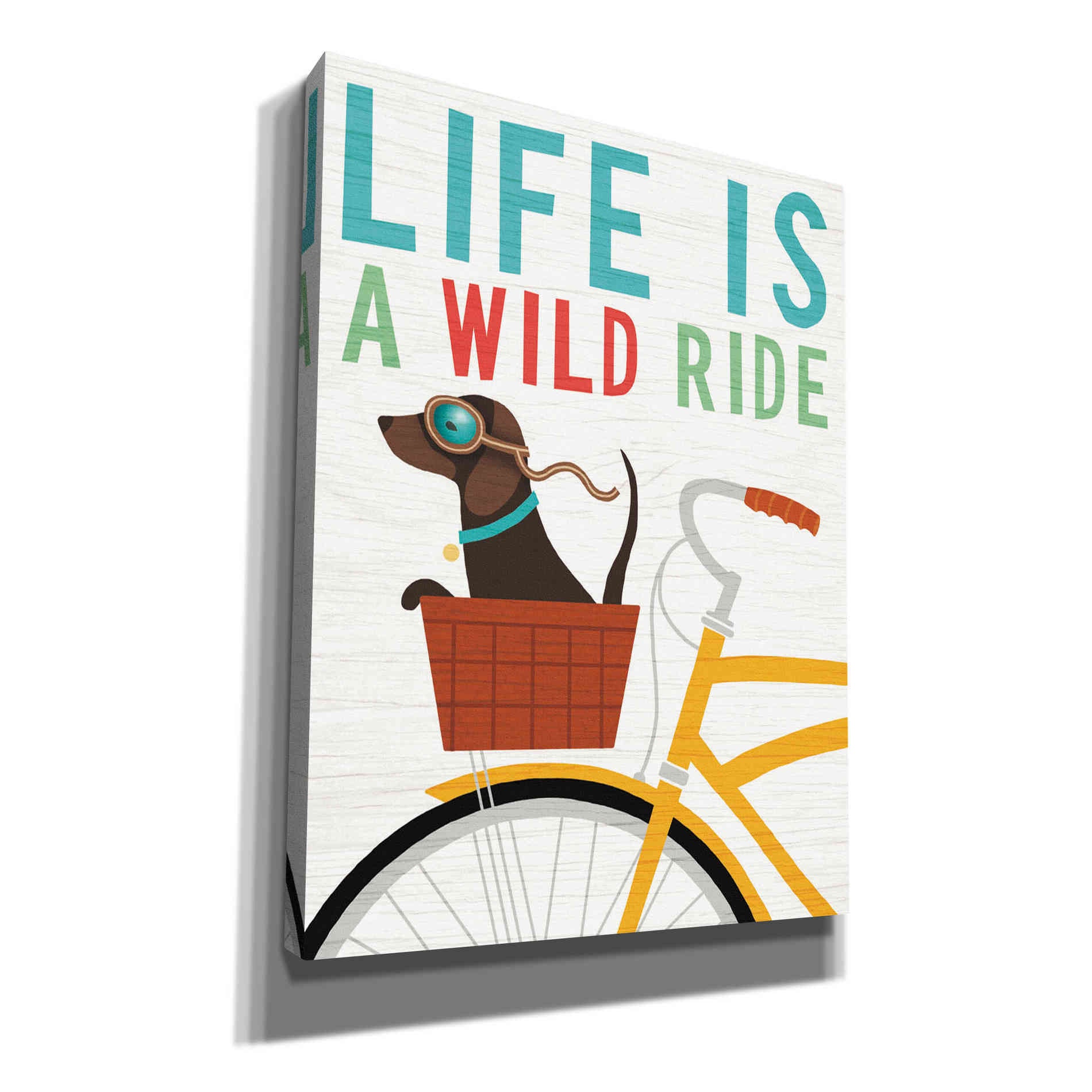 'Beach Bums Dachshund Bicycle I Life' by Michael Mullan, Canvas Wall Art