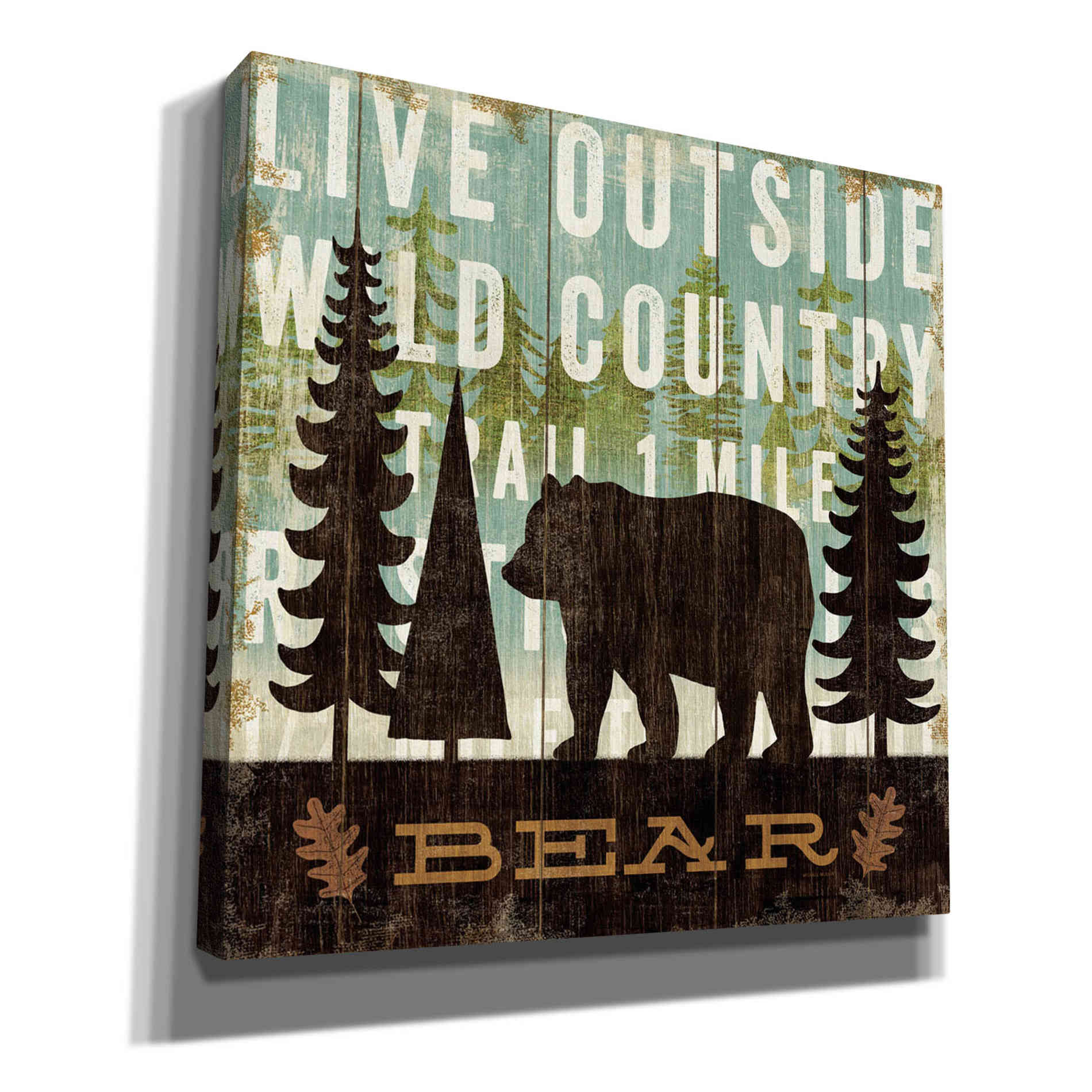 'Simple Living Bear' by Michael Mullan, Canvas Wall Art