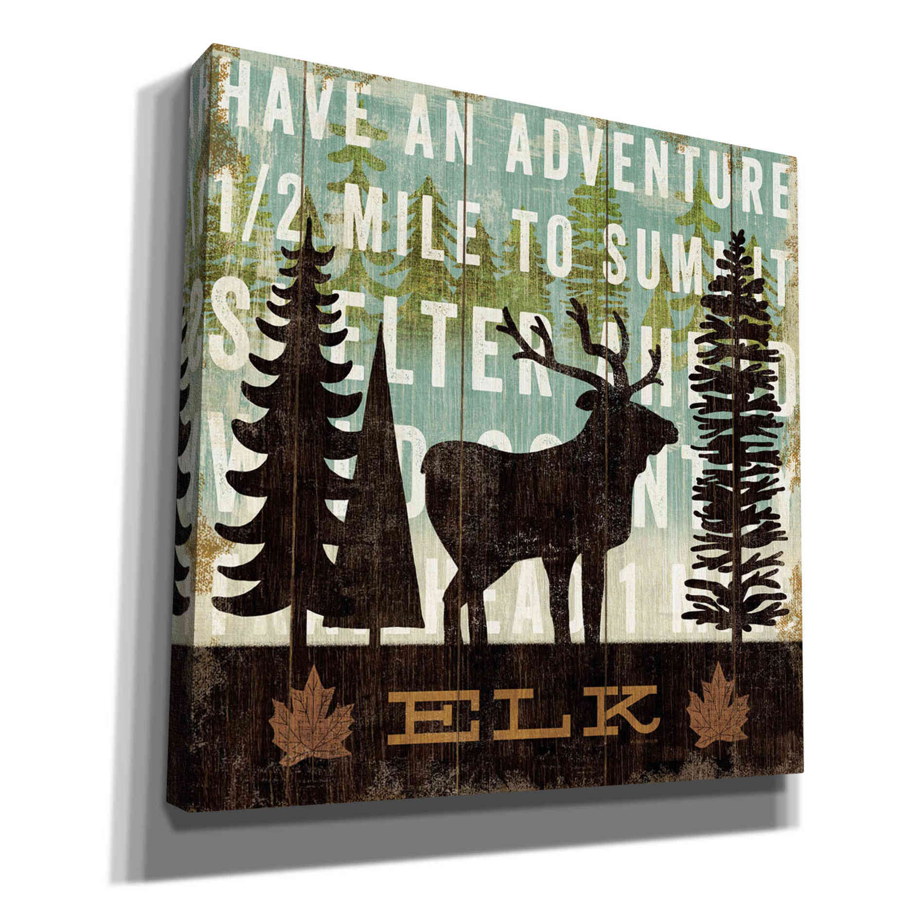 'Simple Living Elk' by Michael Mullan, Canvas Wall Art