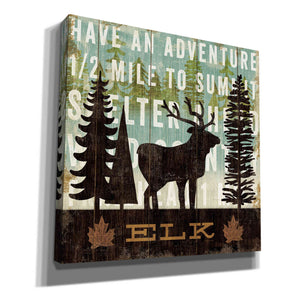 'Simple Living Elk' by Michael Mullan, Canvas Wall Art