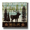 'Simple Living Elk' by Michael Mullan, Canvas Wall Art