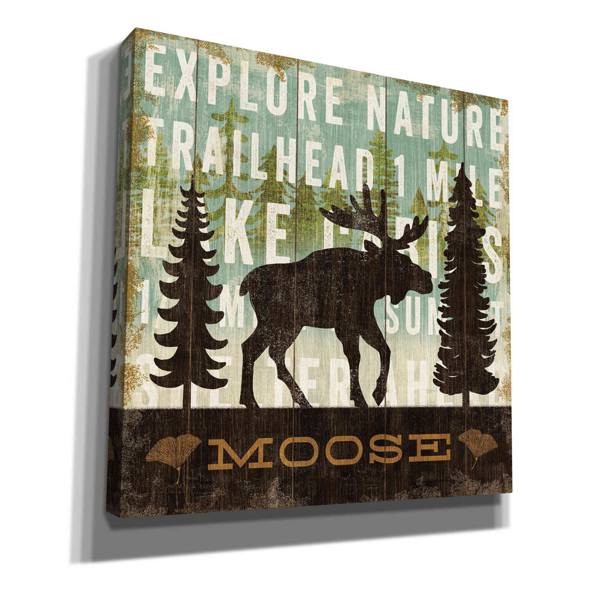 'Simple Living Moose' by Michael Mullan, Canvas Wall Art