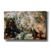 '30 Doradus' Hubble Space Telescope Canvas Wall Art