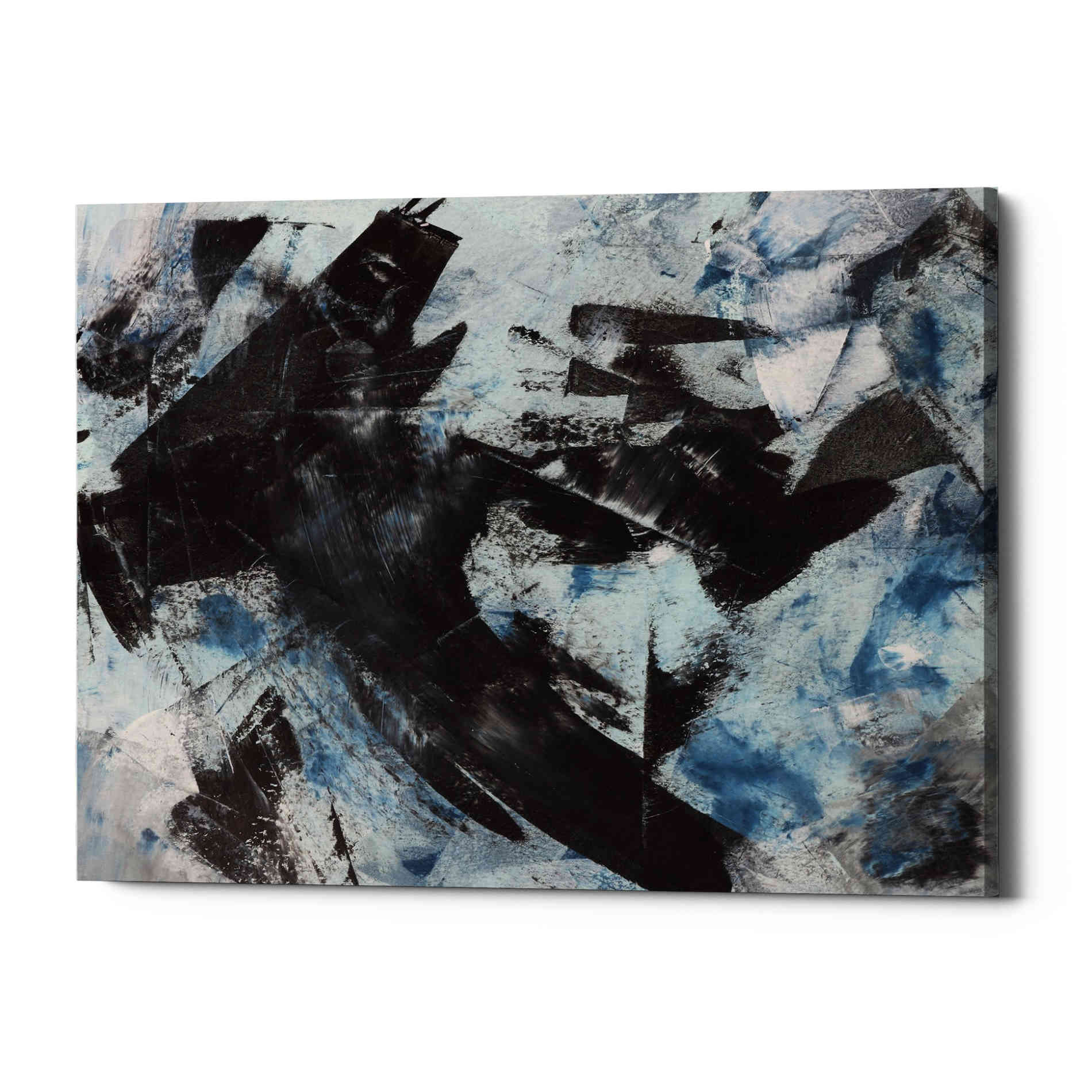'Raven' Canvas Wall Art