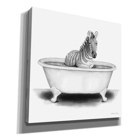 Image of 'Zebra in Tub' by Rachel Nieman, Canvas Wall Art,Size 1 Square