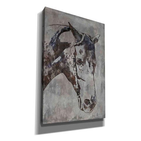 Image of 'Morgan Horse-Black Beauty 6' by Irena Orlov, Canvas Wall Art