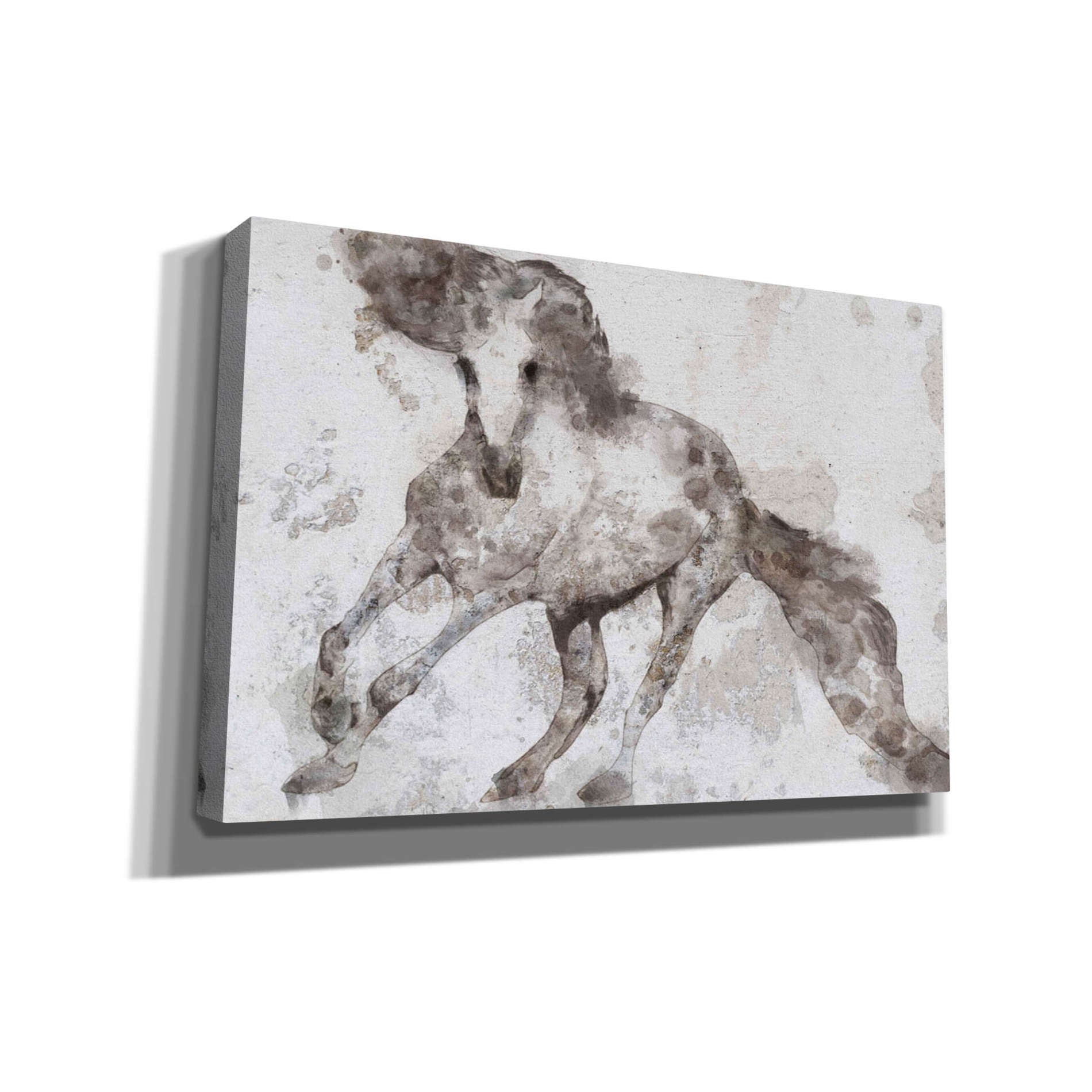 'Alydar Horse' by Irena Orlov, Canvas Wall Art