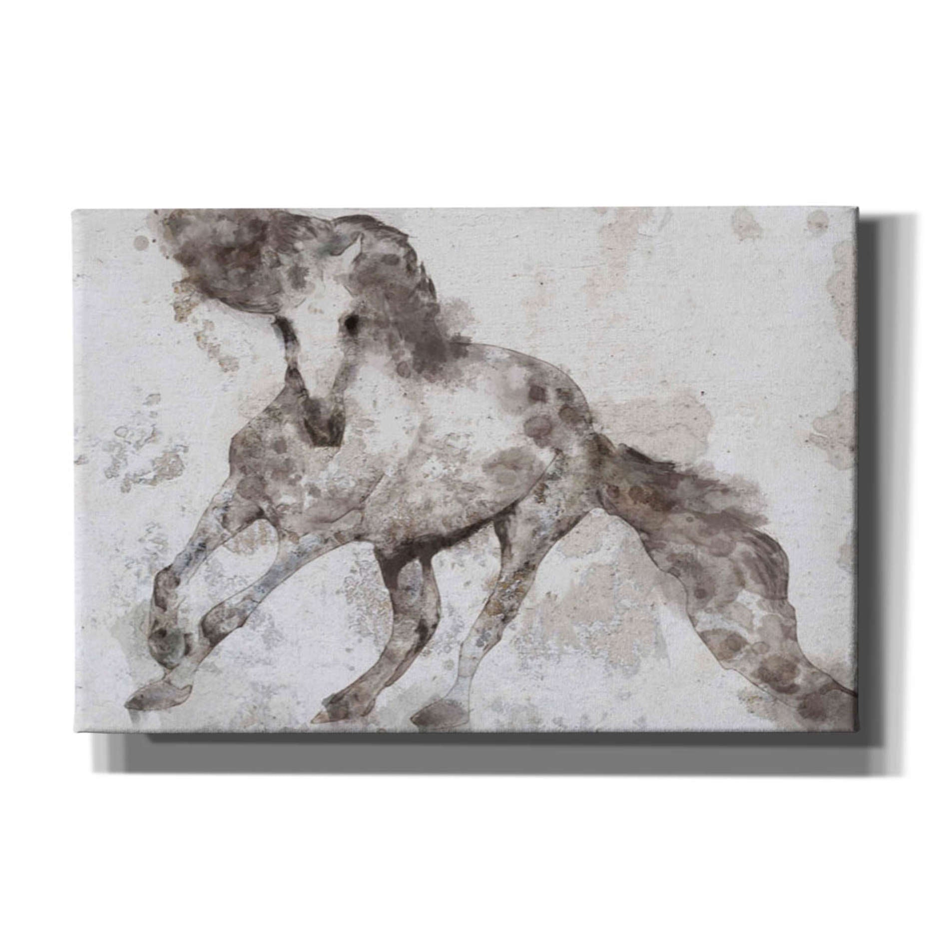 'Alydar Horse' by Irena Orlov, Canvas Wall Art
