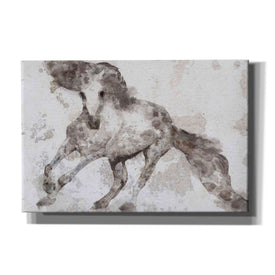 'Alydar Horse' by Irena Orlov, Canvas Wall Art