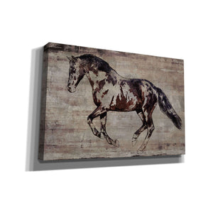 'Trakehner Horse 2' by Irena Orlov, Canvas Wall Art